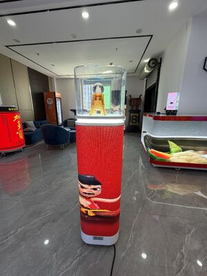 Buy Temperature controlled led showcase featuring precise climate regulation and energy lighting suitable for sensitive products online manufacture